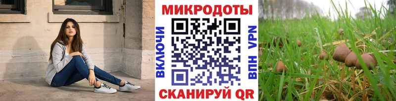Псилоцибиновые грибы Psilocybe  Гагарин 